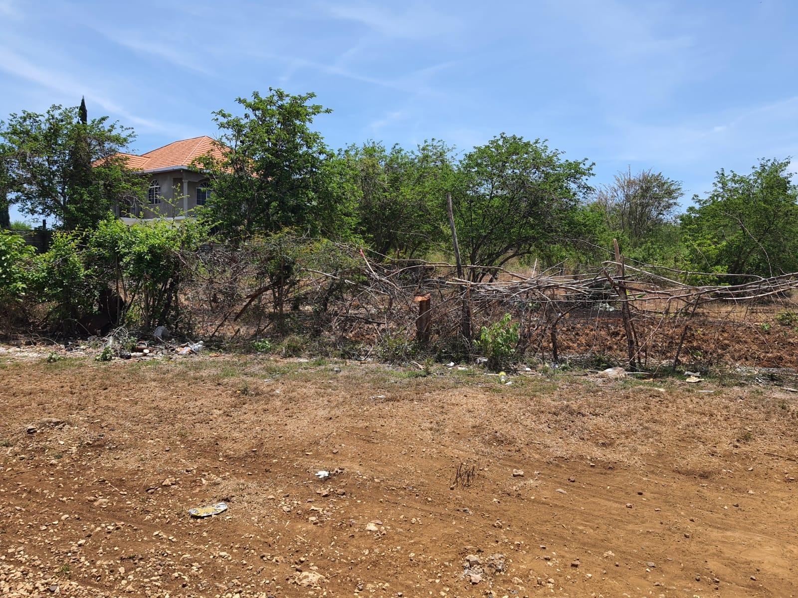 Second image of Part of Palmetto Pen, Cla in Palmetto Pen, Clarendon, Jamaica - property is For Sale