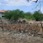 First image of Part of Palmetto Pen, Cla in Palmetto Pen, Clarendon, Jamaica - property is For Sale