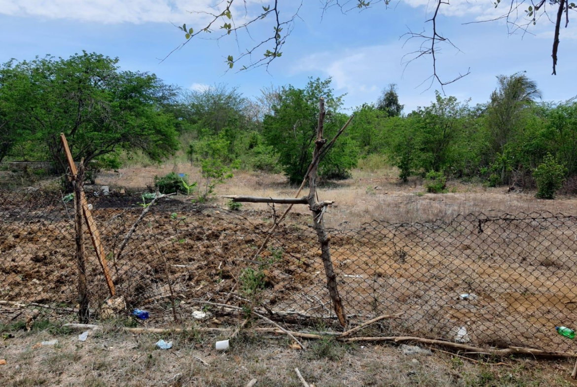 Third image of Part of Palmetto Pen, Cla in Palmetto Pen, Clarendon, Jamaica - property is For Sale