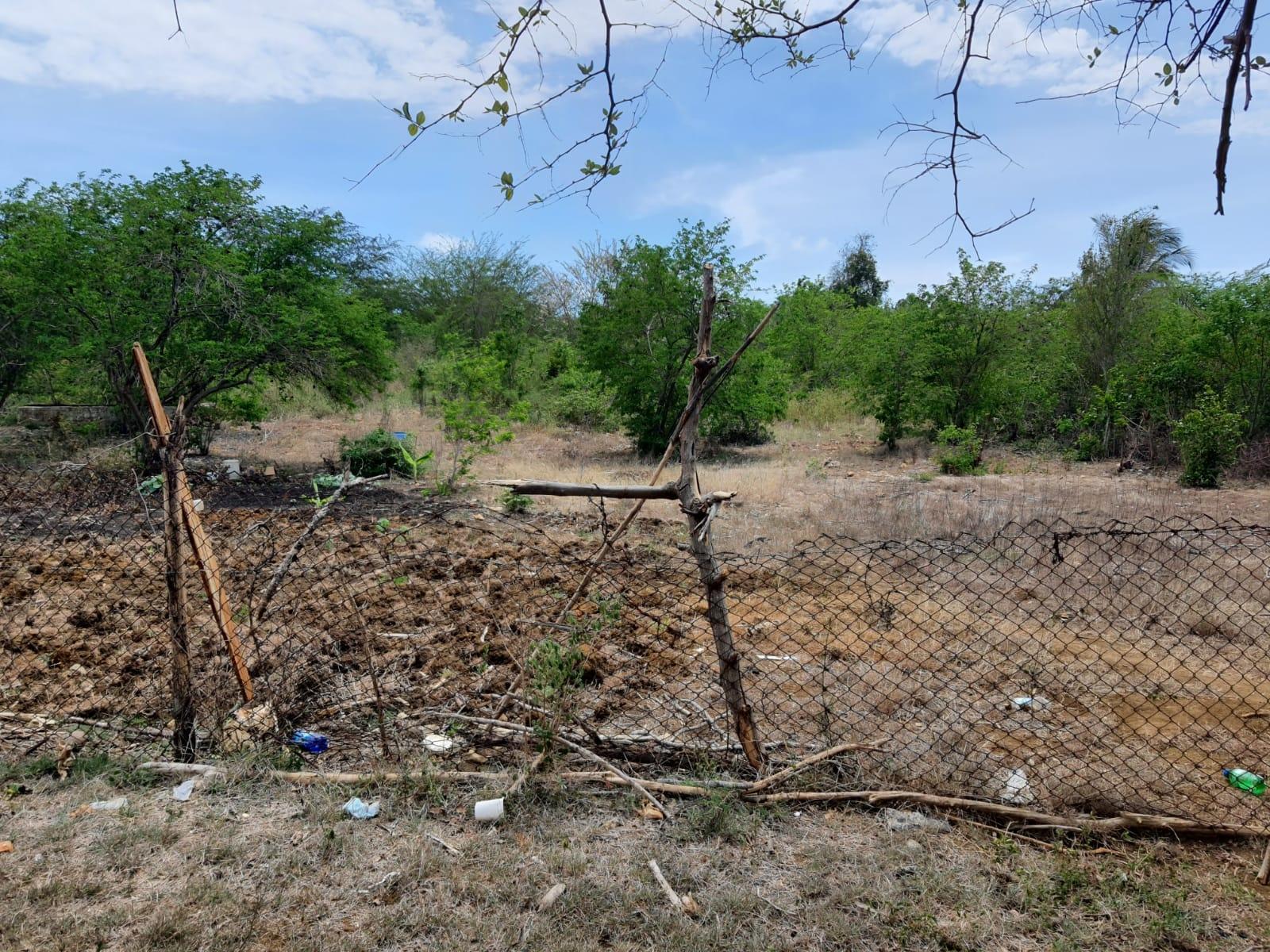 Third image of Part of Palmetto Pen, Cla in Palmetto Pen, Clarendon, Jamaica - property is For Sale