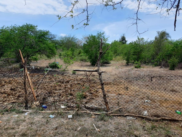 Third image of Part of Palmetto Pen, Cla in Palmetto Pen, Clarendon, Jamaica - property is For Sale