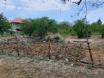 First image of Part of Palmetto Pen, Cla in Palmetto Pen, Clarendon, Jamaica - property is For Sale