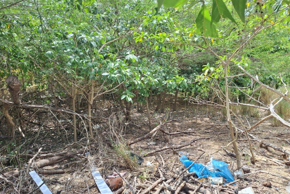 Fourth image of Lot 33- Glenhaven Drive in May Pen, Clarendon, Jamaica - property is For Sale