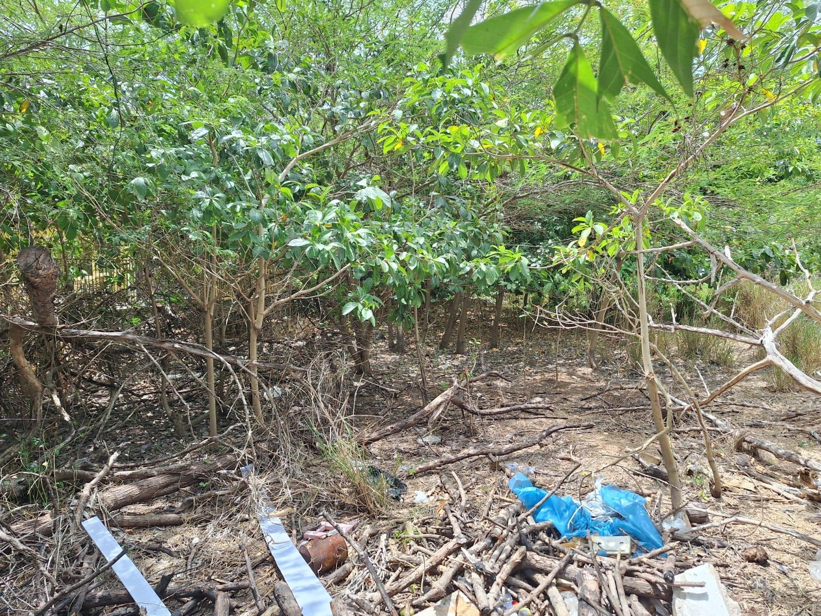 Fourth image of Lot 33- Glenhaven Drive in May Pen, Clarendon, Jamaica - property is For Sale