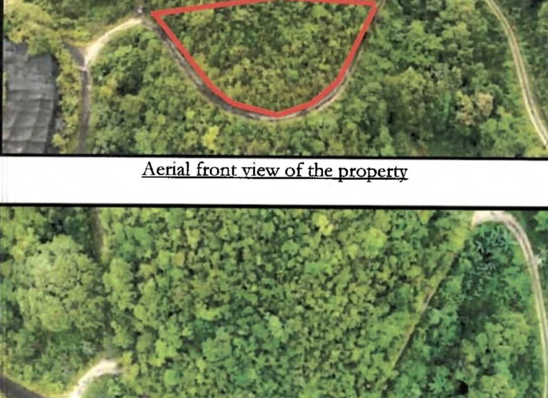 Second image of 99 Coopers Hill in Red Hills, St. Andrew, Jamaica - property is For Sale