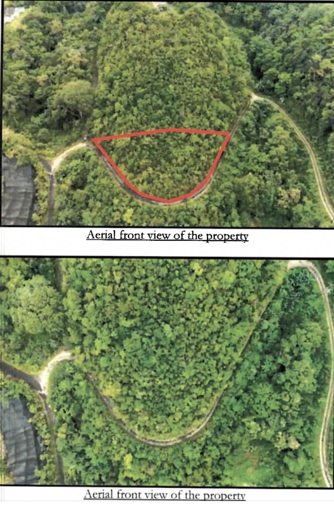 Second image of 99 Coopers Hill in Red Hills, St. Andrew, Jamaica - property is For Sale
