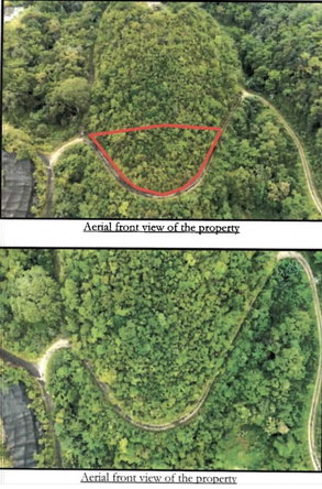 Second image of 99 Coopers Hill in Red Hills, St. Andrew, Jamaica - property is For Sale