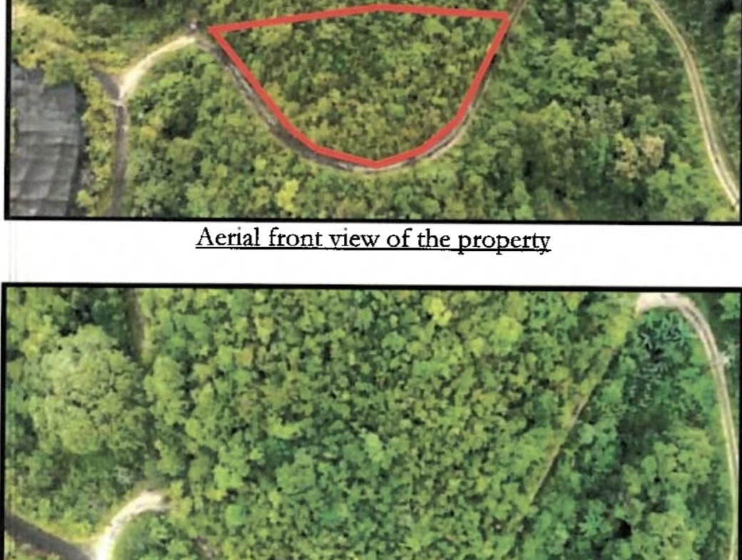 Third image of 99 Coopers Hill in Red Hills, St. Andrew, Jamaica - property is For Sale