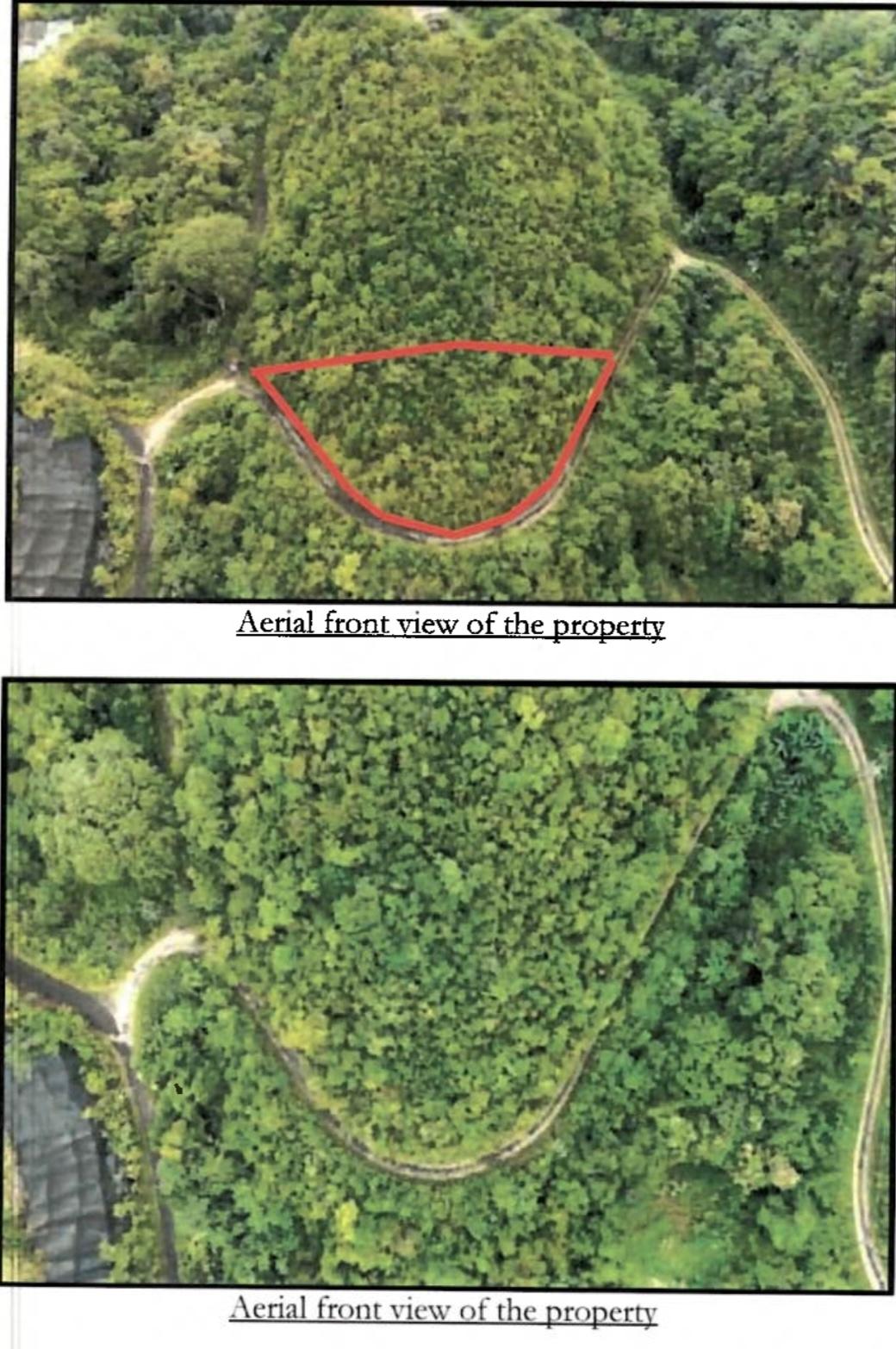 Third image of 99 Coopers Hill in Red Hills, St. Andrew, Jamaica - property is For Sale