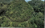 First image of 99 Coopers Hill in Red Hills, St. Andrew, Jamaica - property is For Sale