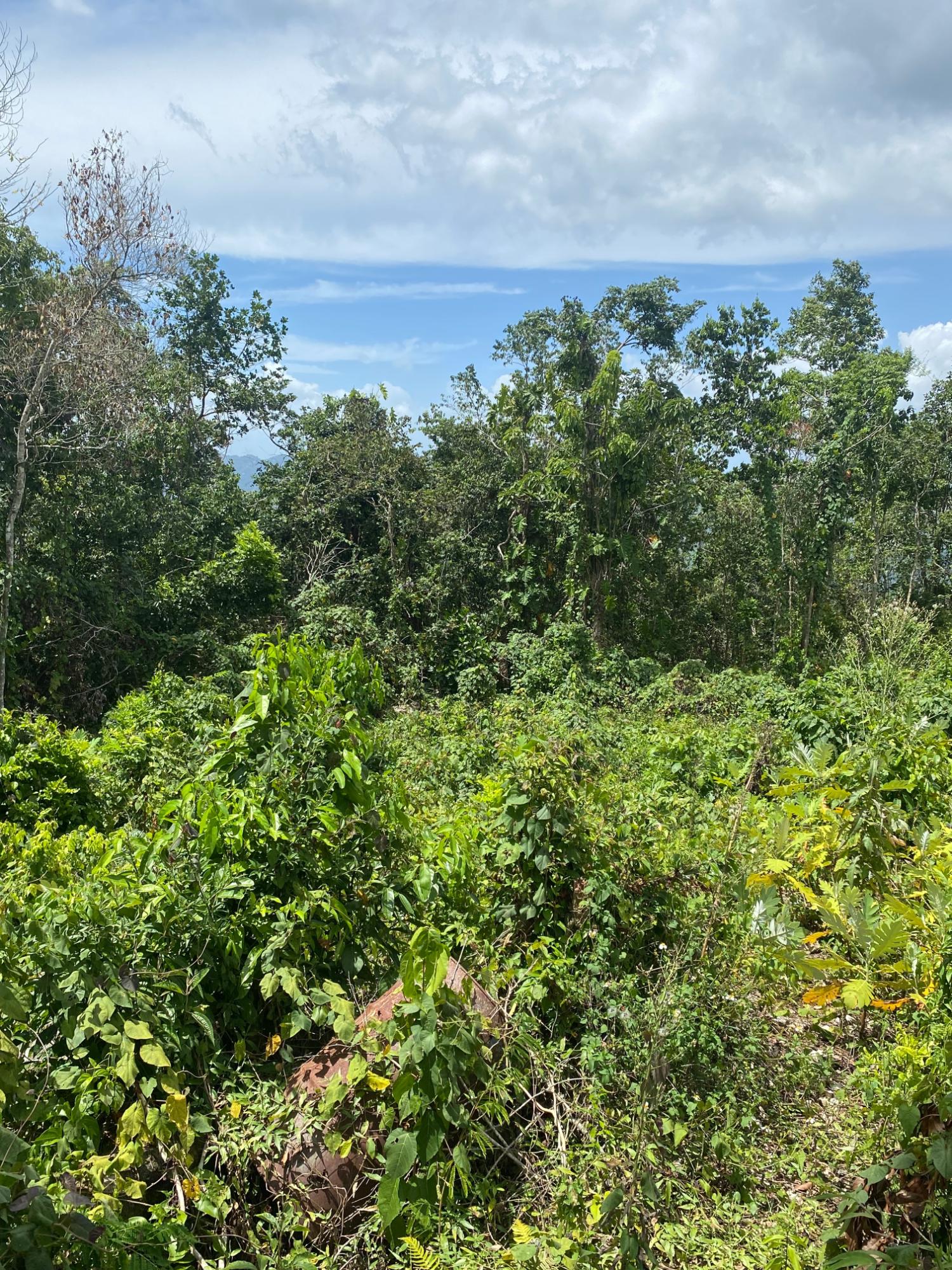 Second image of Lot-59 Fraser Crescent, Coopers in Red Hills, St. Andrew, Jamaica - property is For Sale
