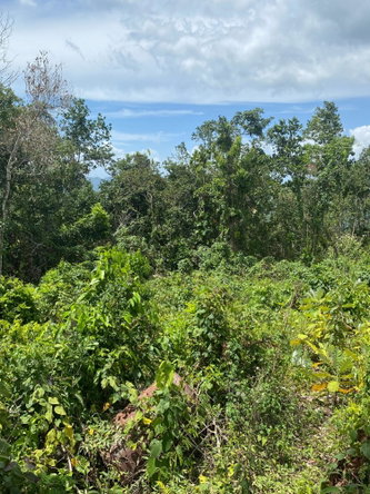Second image of Lot-59 Fraser Crescent, Coopers in Red Hills, St. Andrew, Jamaica - property is For Sale