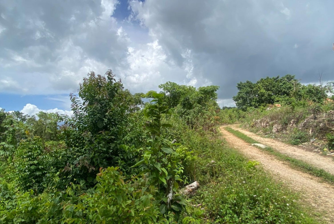 Eleventh image of Lot-59 Fraser Crescent, Coopers in Red Hills, St. Andrew, Jamaica - property is For Sale
