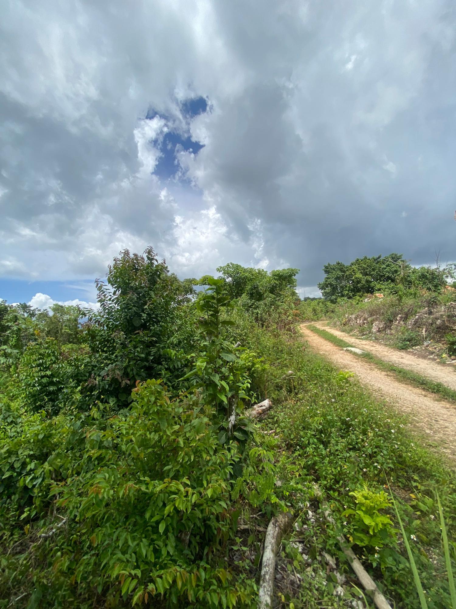 Eleventh image of Lot-59 Fraser Crescent, Coopers in Red Hills, St. Andrew, Jamaica - property is For Sale