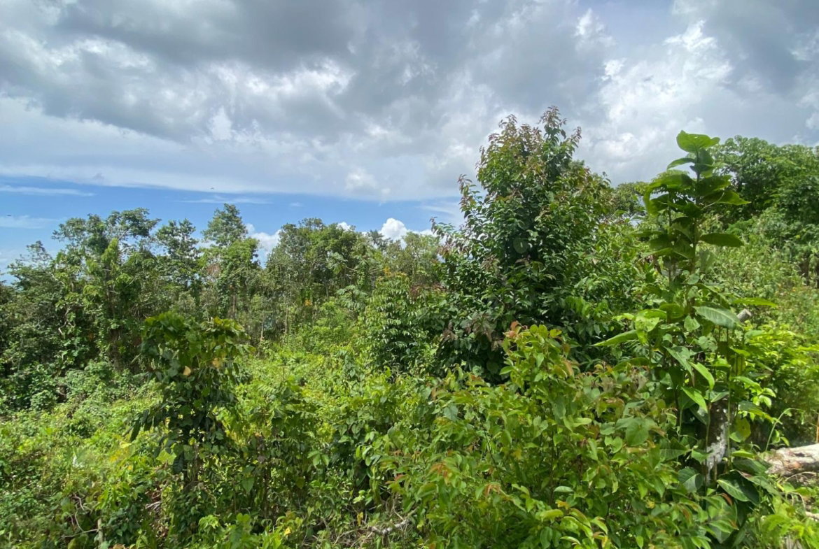 Twelfth image of Lot-59 Fraser Crescent, Coopers in Red Hills, St. Andrew, Jamaica - property is For Sale