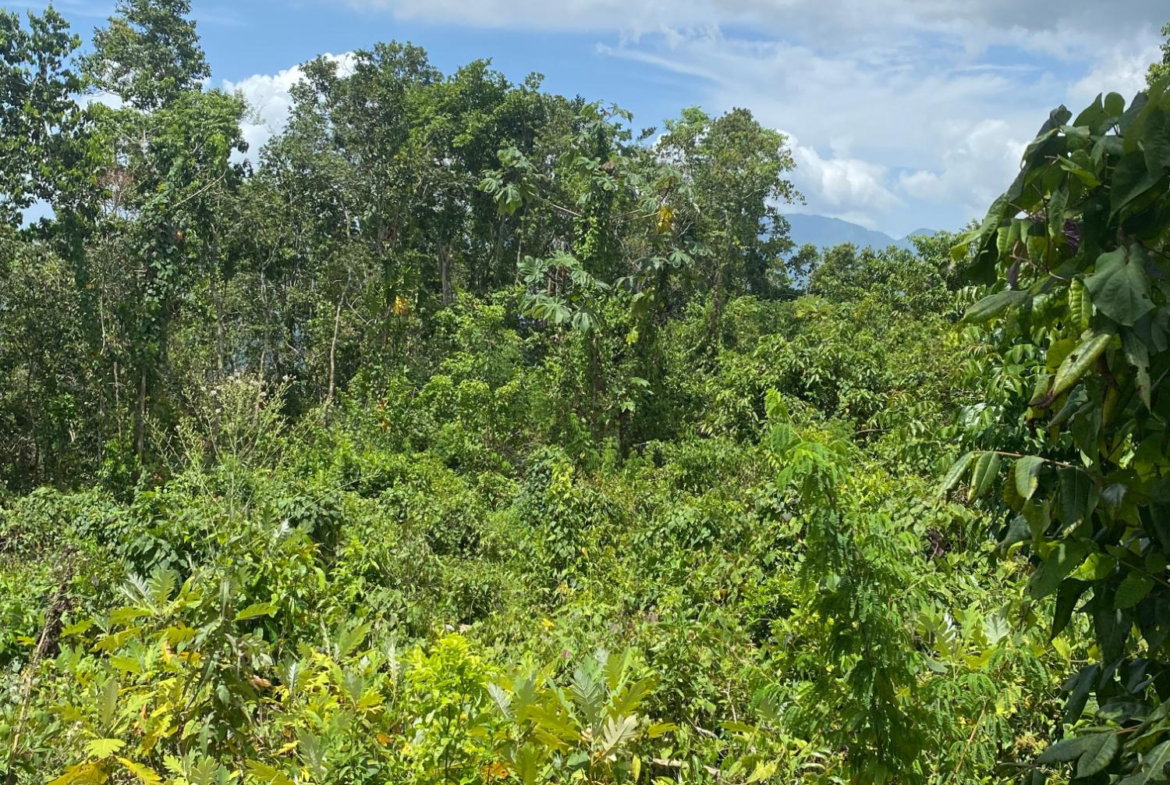 First image of Lot-59 Fraser Crescent, Coopers in Red Hills, St. Andrew, Jamaica - property is For Sale