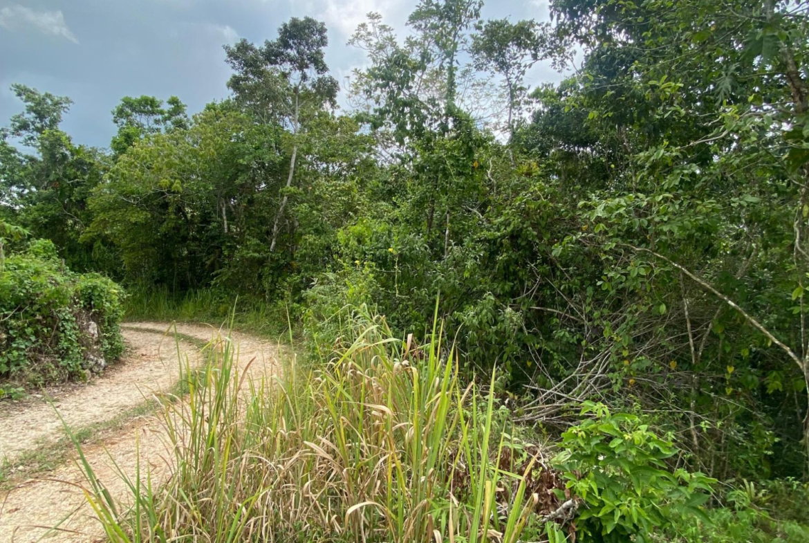 Thirteenth image of Lot-59 Fraser Crescent, Coopers in Red Hills, St. Andrew, Jamaica - property is For Sale