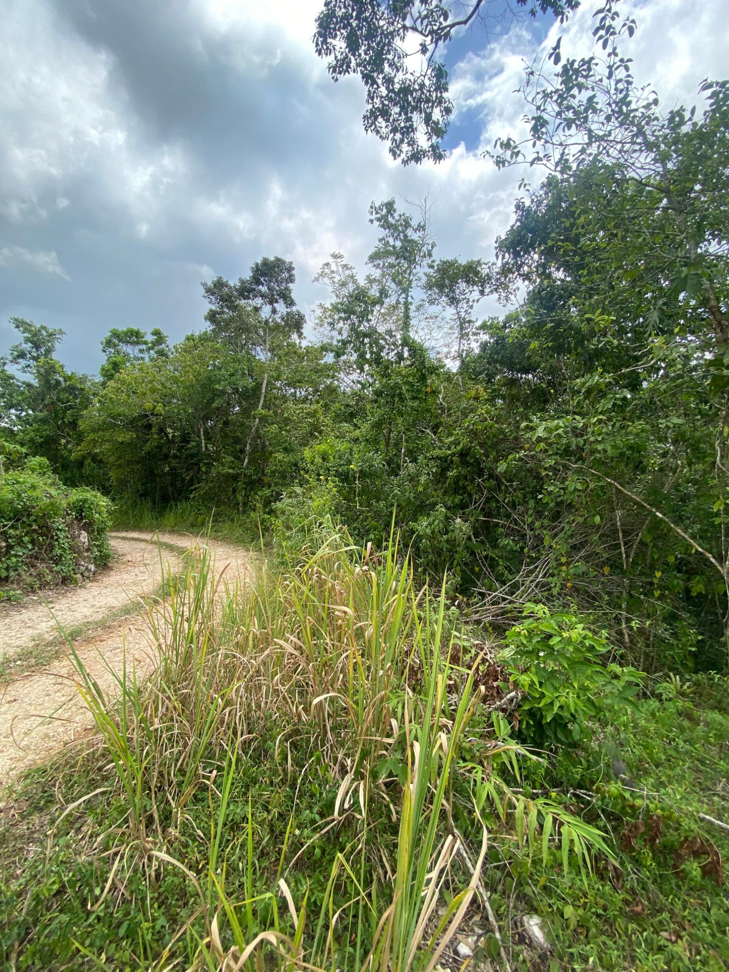 Thirteenth image of Lot-59 Fraser Crescent, Coopers in Red Hills, St. Andrew, Jamaica - property is For Sale