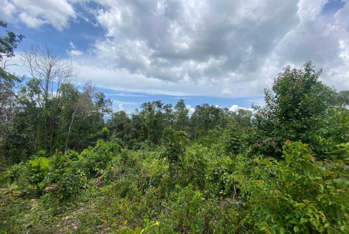 Fourteenth image of Lot-59 Fraser Crescent, Coopers in Red Hills, St. Andrew, Jamaica - property is For Sale