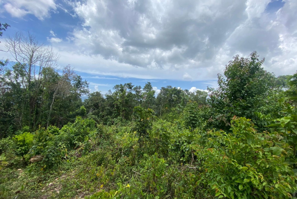 Sixteenth image of Lot-59 Fraser Crescent, Coopers in Red Hills, St. Andrew, Jamaica - property is For Sale
