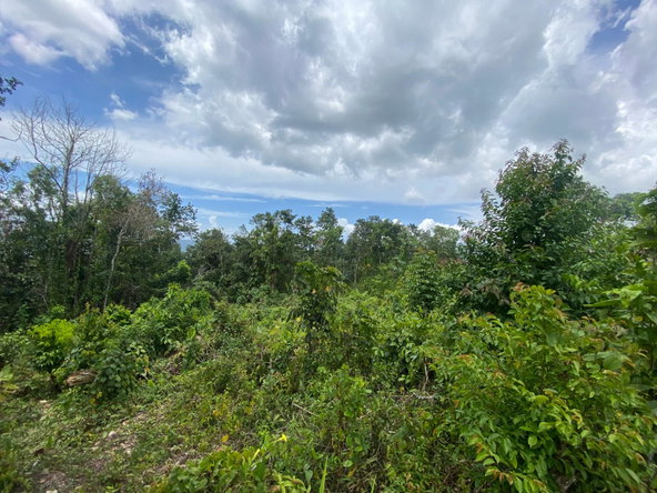 Sixteenth image of Lot-59 Fraser Crescent, Coopers in Red Hills, St. Andrew, Jamaica - property is For Sale