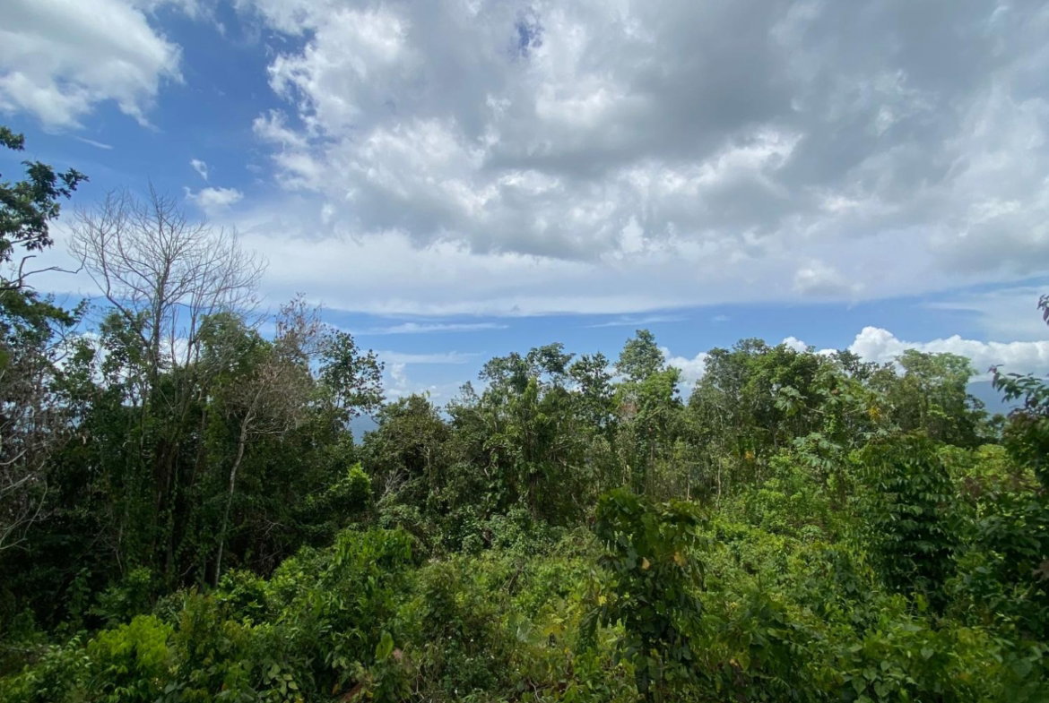 Seventeenth image of Lot-59 Fraser Crescent, Coopers in Red Hills, St. Andrew, Jamaica - property is For Sale