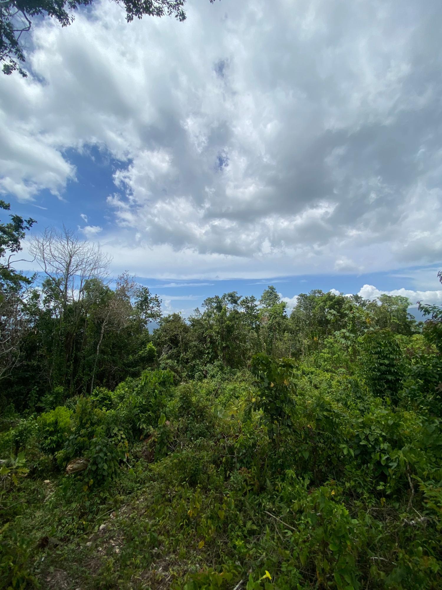 Seventeenth image of Lot-59 Fraser Crescent, Coopers in Red Hills, St. Andrew, Jamaica - property is For Sale
