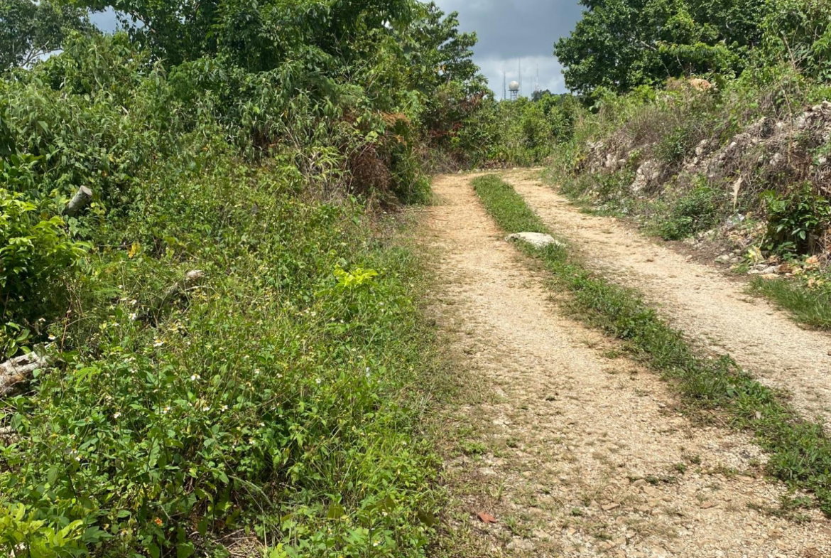 Eighteenth image of Lot-59 Fraser Crescent, Coopers in Red Hills, St. Andrew, Jamaica - property is For Sale