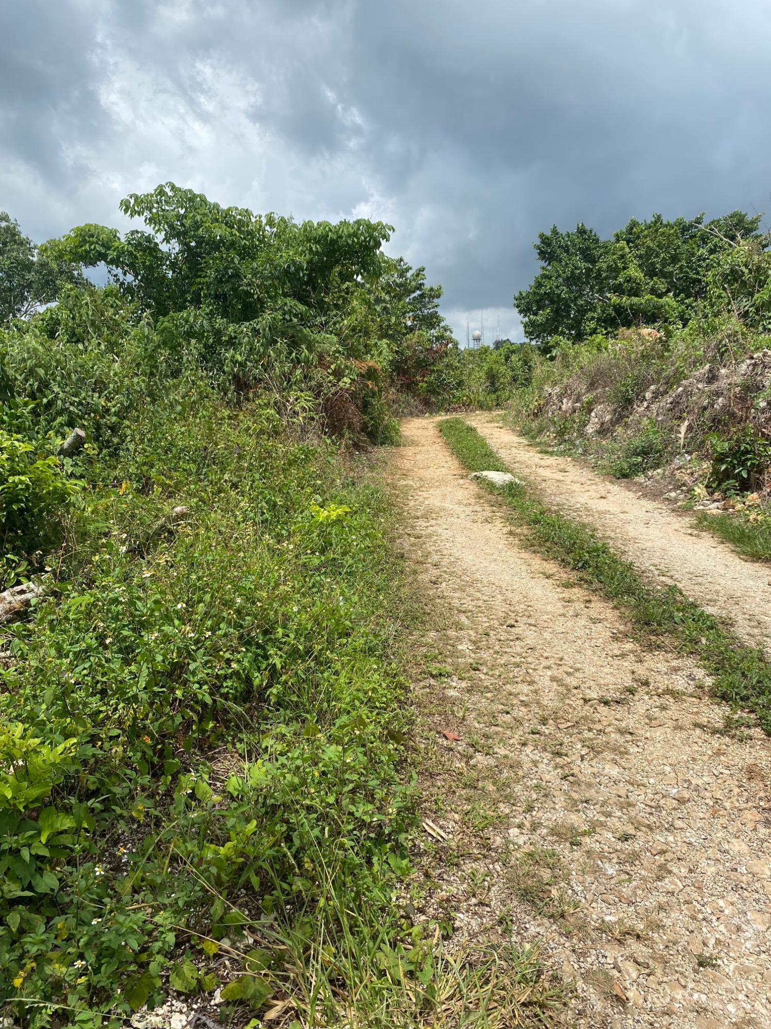 Eighteenth image of Lot-59 Fraser Crescent, Coopers in Red Hills, St. Andrew, Jamaica - property is For Sale