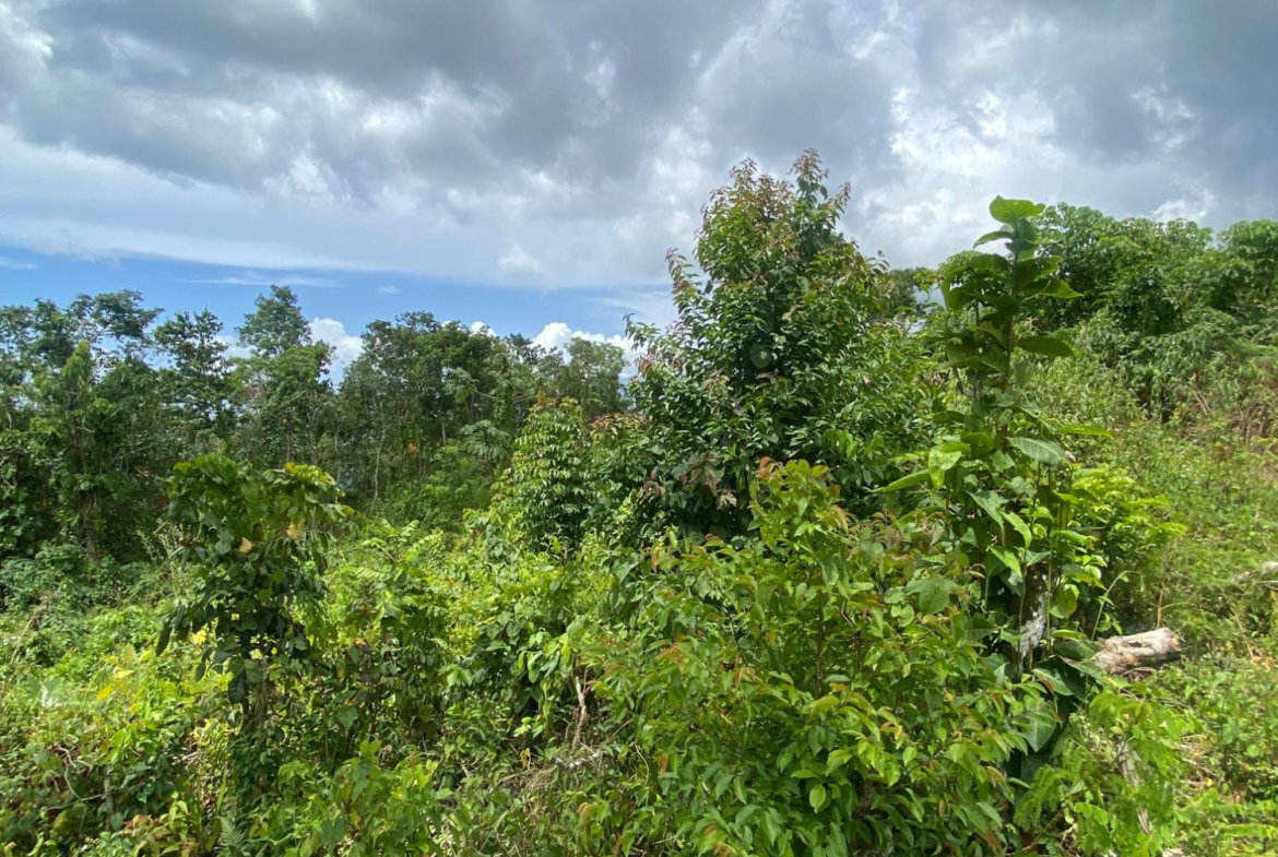 Nineteenth image of Lot-59 Fraser Crescent, Coopers in Red Hills, St. Andrew, Jamaica - property is For Sale