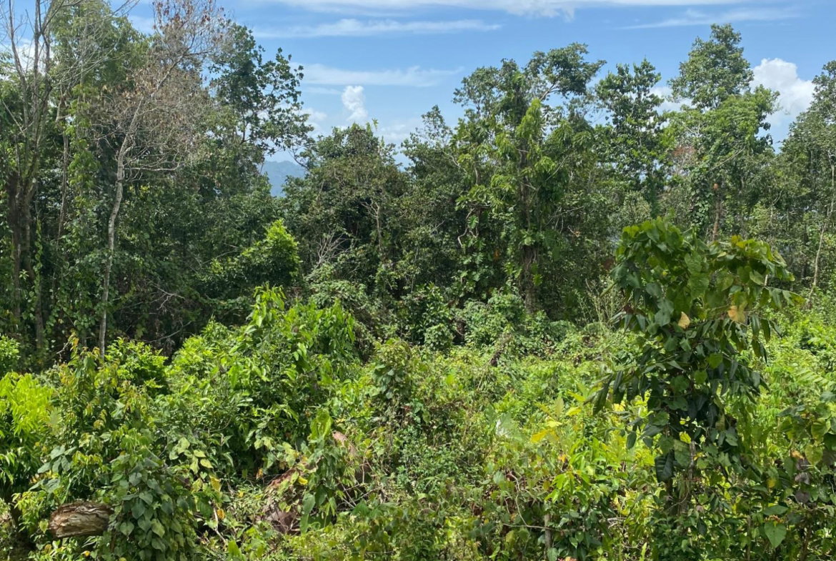 Twentieth image of Lot-59 Fraser Crescent, Coopers in Red Hills, St. Andrew, Jamaica - property is For Sale