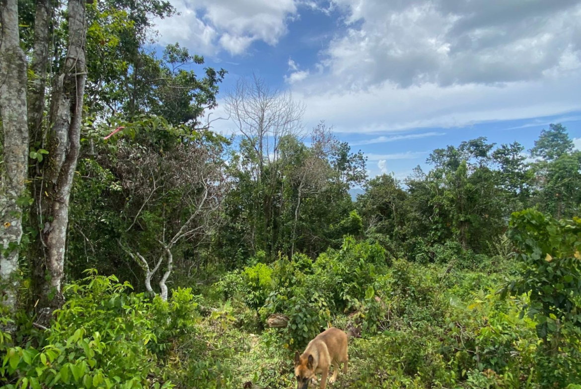 Twenty-First image of Lot-59 Fraser Crescent, Coopers in Red Hills, St. Andrew, Jamaica - property is For Sale