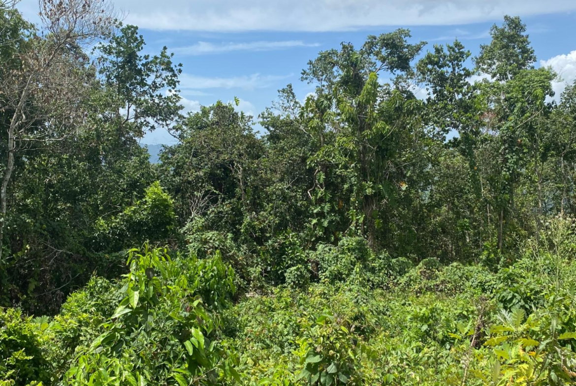 Fourth image of Lot-59 Fraser Crescent, Coopers in Red Hills, St. Andrew, Jamaica - property is For Sale