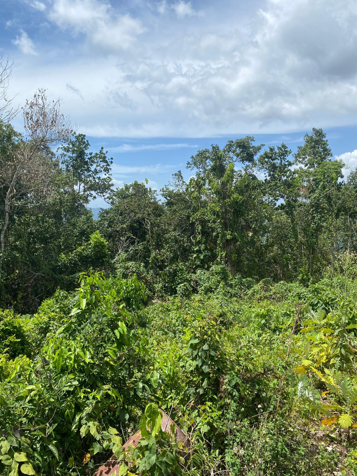 Fourth image of Lot-59 Fraser Crescent, Coopers in Red Hills, St. Andrew, Jamaica - property is For Sale