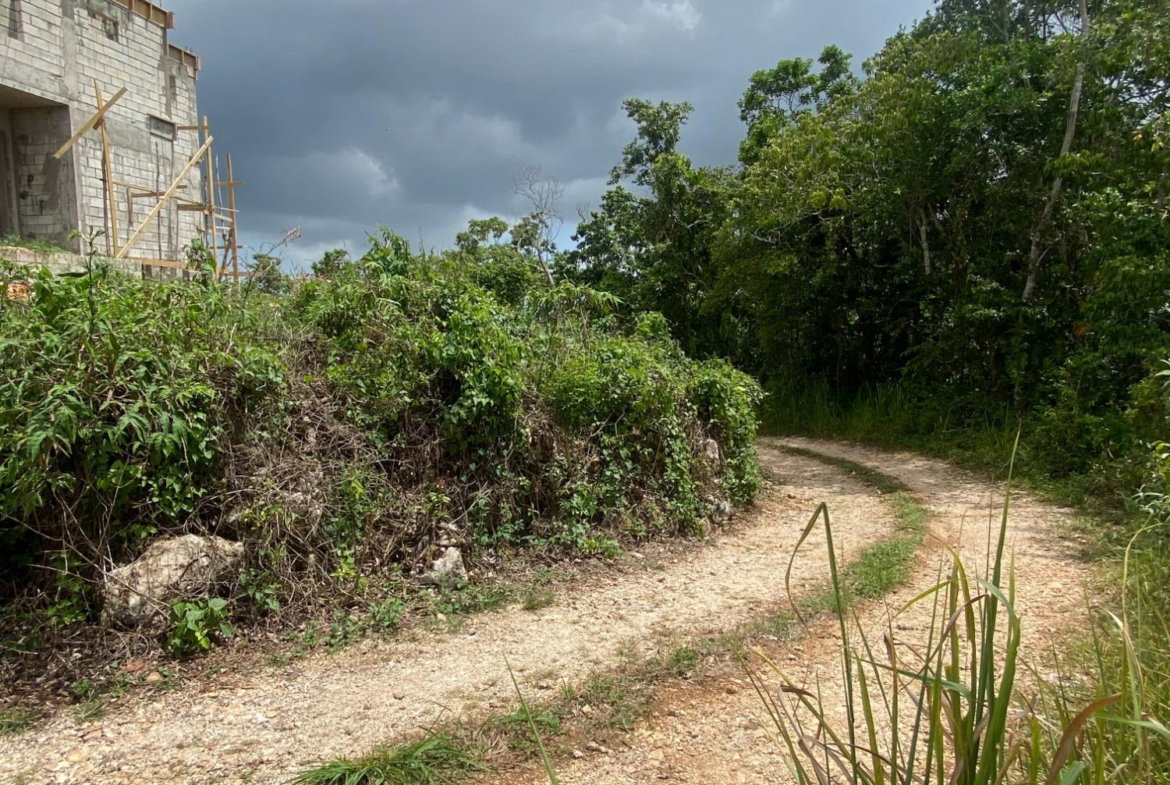Fifth image of Lot-59 Fraser Crescent, Coopers in Red Hills, St. Andrew, Jamaica - property is For Sale