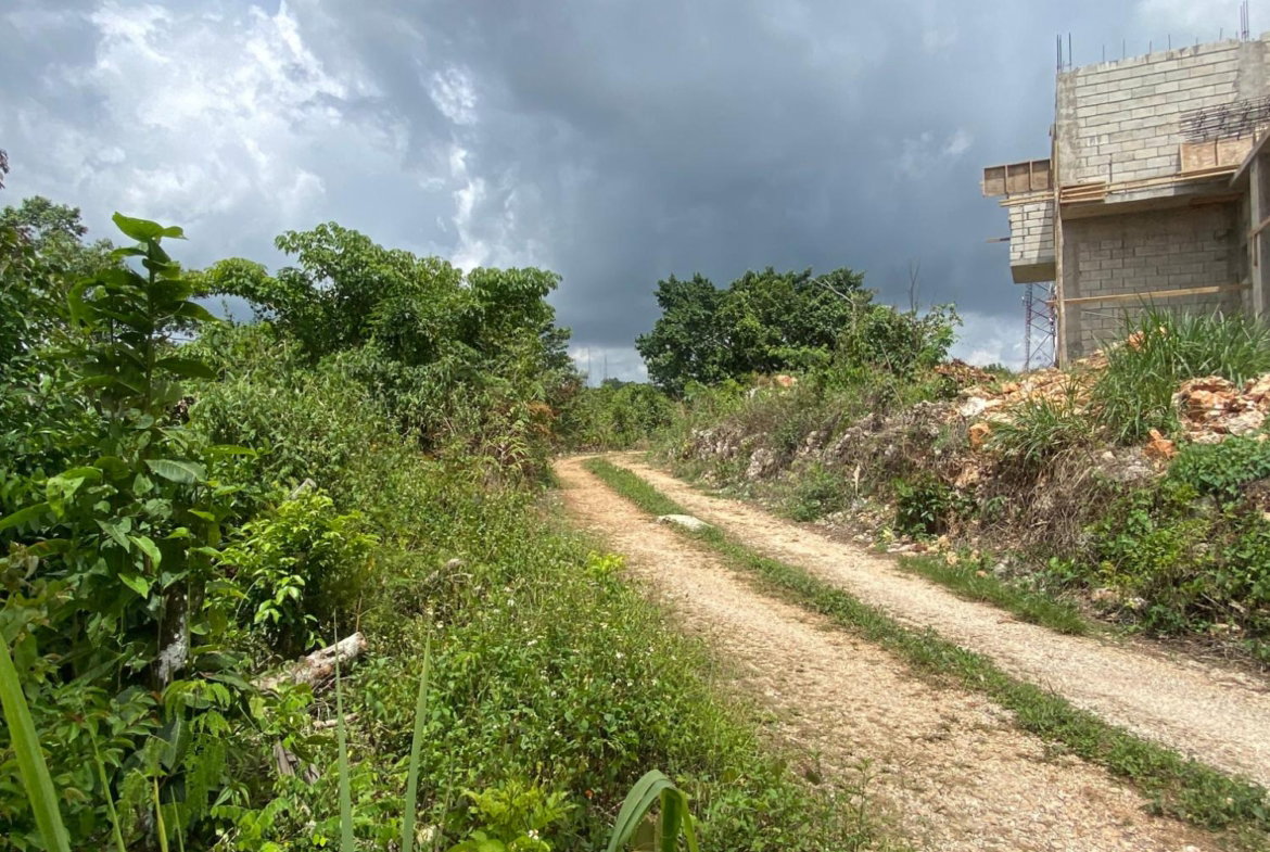 Sixth image of Lot-59 Fraser Crescent, Coopers in Red Hills, St. Andrew, Jamaica - property is For Sale
