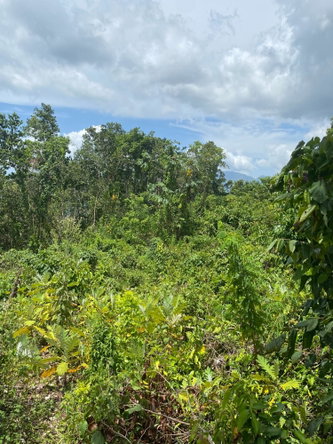 First image of Lot-59 Fraser Crescent, Coopers in Red Hills, St. Andrew, Jamaica - property is For Sale