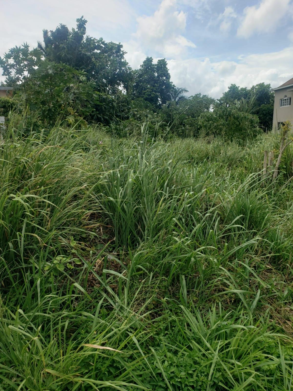 Second image of 241 Coral Garden Windsor Aven in Little River, St. James, Jamaica - property is For Sale
