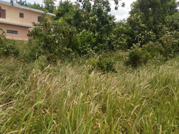 First image of 241 Coral Garden Windsor Aven in Little River, St. James, Jamaica - property is For Sale