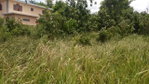 First image of 241 Coral Garden Windsor Aven in Little River, St. James, Jamaica - property is For Sale