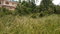 First image of 241 Coral Garden Windsor Aven in Little River, St. James, Jamaica - property is For Sale