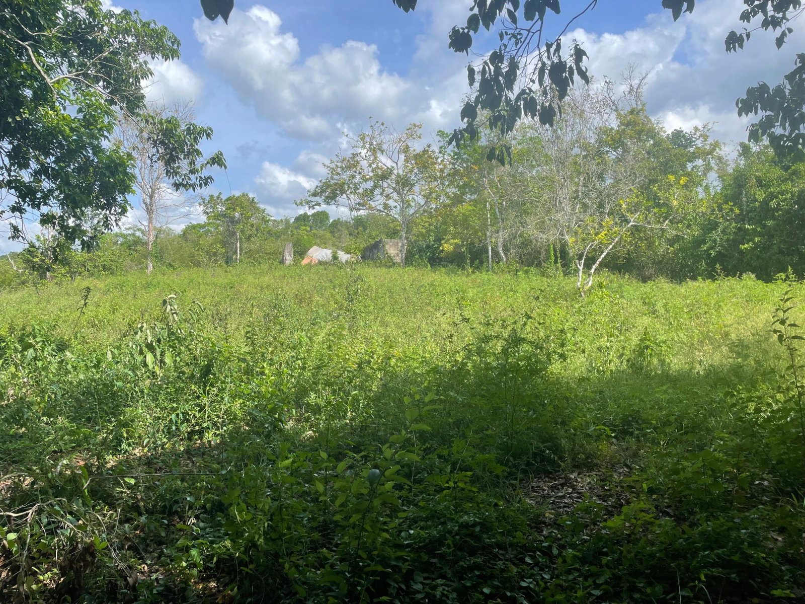 Second image of 5 Sycamore Tree Rd, Enfield in Browns Town, St. Ann, Jamaica - property is For Sale