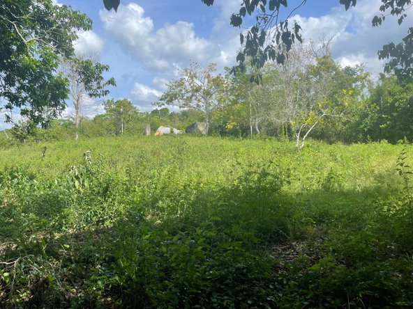 Second image of 5 Sycamore Tree Rd, Enfield in Browns Town, St. Ann, Jamaica - property is For Sale