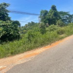 First image of 5 Sycamore Tree Rd, Enfield in Browns Town, St. Ann, Jamaica - property is For Sale