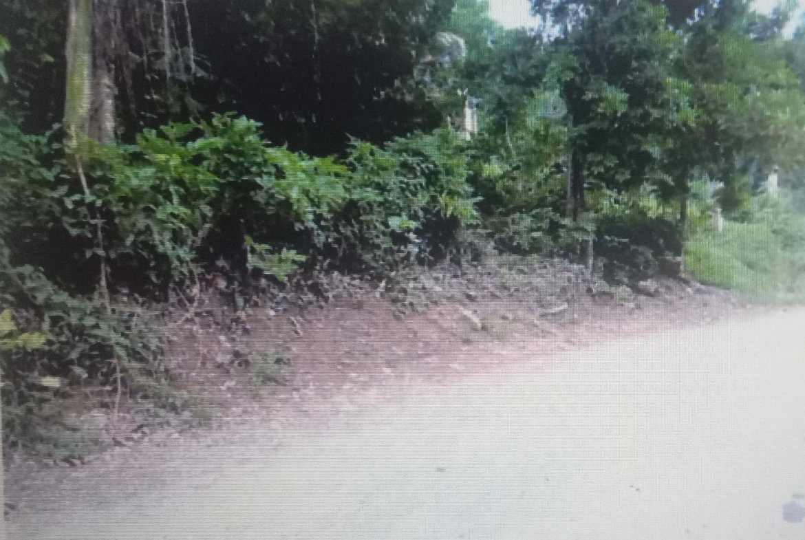 Third image of Lot #9- Cocoa Boo in Ewarton, St. Catherine, Jamaica - property is For Sale