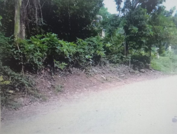 Third image of Lot #9- Cocoa Boo in Ewarton, St. Catherine, Jamaica - property is For Sale