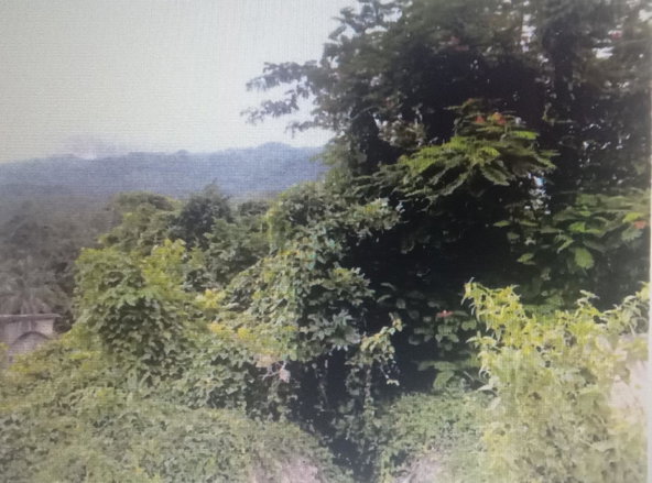 First image of Lot #9- Cocoa Boo in Ewarton, St. Catherine, Jamaica - property is For Sale