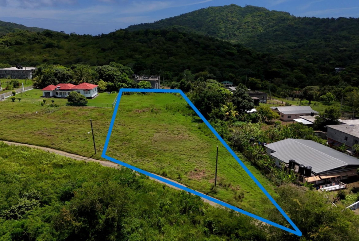 Third image of 2- Friendship in Islington, St. Mary, Jamaica - property is For Sale