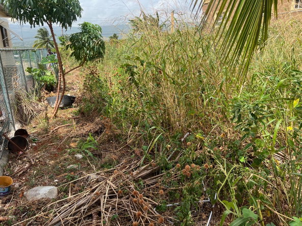 Second image of Lot #108- Gazeland,nain in Nain, St. Elizabeth, Jamaica - property is For Sale