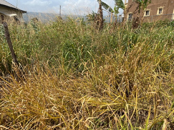 Fourth image of Lot #108- Gazeland,nain in Nain, St. Elizabeth, Jamaica - property is For Sale